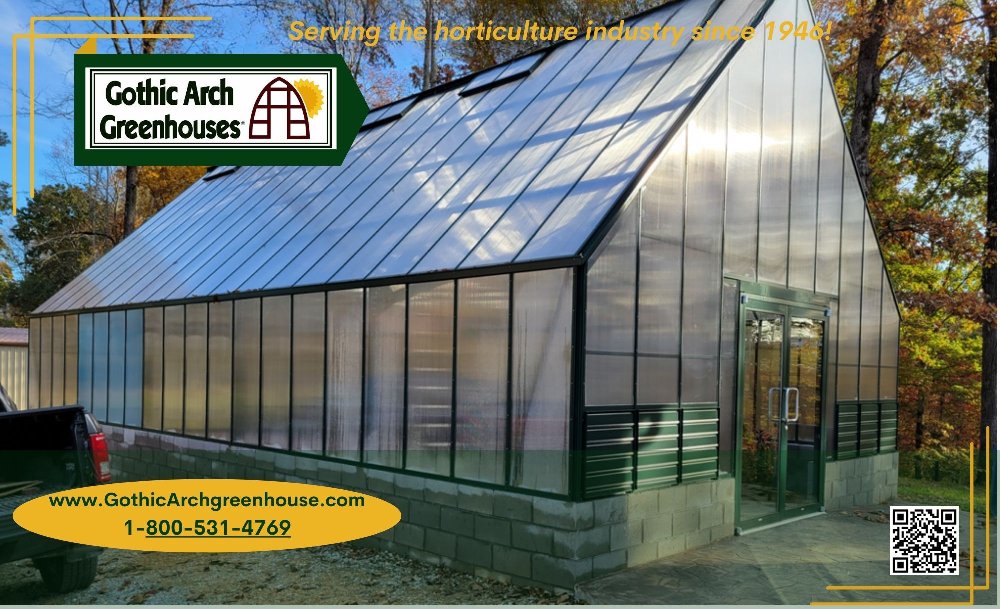 Greenhouse interior with lush plants and sunlight, representing scaling a greenhouse hobby into a business